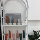벨르헤어샵 | 방배동 헤어샵 림벨르헤어 아윤채 클리닉으로 손상모 심폐소생술 하고 온 솔직 후기 (feat. 이준 실장님)