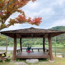 시탕뿌리 | [내돈내산] 금산 도리뱅뱅이, 인삼어죽 현지인 맛집 시탕뿌리