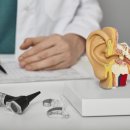 메아리 보청기 이미지