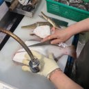 전곡항 수산물센터 2층 이미지