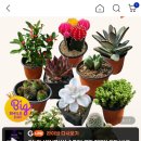 먼로농장 이미지