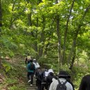 메디위드 이미지