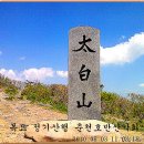 석포로 이미지