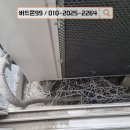 비둘기세탁소 이미지