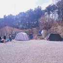 해멍달멍 이미지