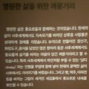 특별전 '이집트 보물전' (2)