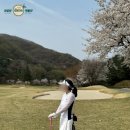 멘토 골프 아카데미 | 강남 골프 모임 전설의백돌이 정기 월례회