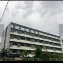 광남고등학교 | 수능만점자 공부법보다 중요한 한가지! 광남고 왕정건을 만나다.