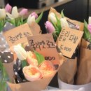 라엘무용학원 이미지