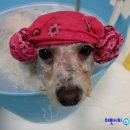 부산마이크로병원 이미지