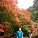 절골의 아름다움과 주왕의 전설이 깃들여 있는, 경북 청송 주왕산 (2013. 10. 20) 이미지