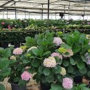 김영석농장 이미지