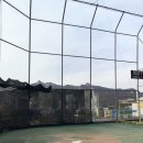 스타파크야구장 Daum카페