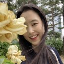 세진헤어살롱