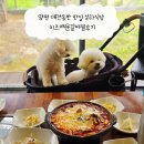 양평 애견동반 맛집 설하식당 치즈매운갈비찜후기