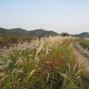 (주)혜원 이미지