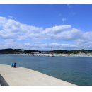 죽변항 이미지