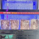 허브동물메디컬센터 | 서면 국내산 돼지고기와 소고기를 가성비 있게 맛볼 수 있는 곳, "고기의 진수" 리뷰!