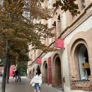 ANN게스트하우스 | 바르셀로나 몬세라트 반나절 투어 후기｜수도원·와이너리·타파스까지 완벽 코스 + 마이리얼트립8...