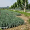 KN 국제행정사사무소 이미지