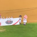 경기고속스테이션 | 아니 갑자기 2023년 9월 10월 일상을 쓴다고요? 임시저장글 대방출..