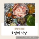 산호동050 이미지