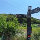 장천초등학교 앞 이미지