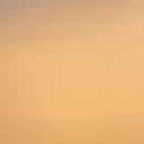 올레목장 이미지