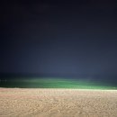 강릉목장 이미지