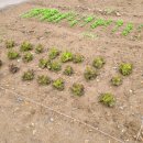 송추요양병원 이미지