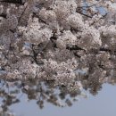 가현1길 이미지