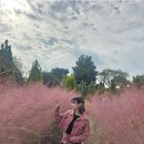 6-155 TS | 슬슬 가을준비 해야지 ?