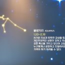 별빛 태양광발전소 이미지