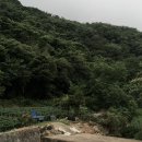 본가 이미지