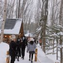 동화카밧데리 | 1월 삿포로 일본 겨울 여행 비에이 후라노 버스투어 추천 준페이 예약 후기