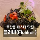 플러버 (flubber) 이미지