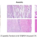오션동물메디컬센터 이미지