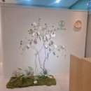 삼우도시시설관리(주) | 원주 혁신도시 요가 추천 명상까지 함께하는 아브르요가명상 9개월 후기