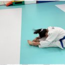 리더 유도짐 이미지