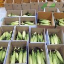 홍천냉동 이미지