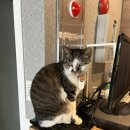 인기척 게스트하우스 이미지