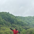 [양평] 국가대표와 함께 타는 유명산 양평패러글라이딩파크 후기
