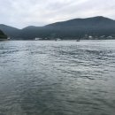 시락 소포마을 이미지