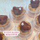 타르트곰 이미지