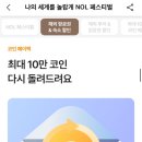 댕이픽업 네이버블로그
