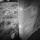 동일리-10 이미지