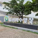 블루 | 서울 프리다이빙 인블루 자격증 취득후기