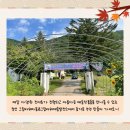 그림바위예술발전소 이미지