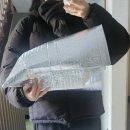 4113 | 경기도(안양시) 새 구조