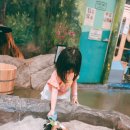 해피애니멀 | 아이와 가볼만한곳 | 회사 특별 휴일, 둘째와 단둘이 다녀온 '해피애니멀' 평일 방문 솔직 후기
